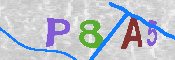 Immagine CAPTCHA