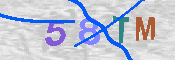 Immagine CAPTCHA