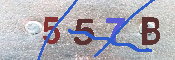 Immagine CAPTCHA