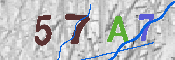 Immagine CAPTCHA