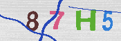 Immagine CAPTCHA