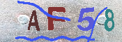 Immagine CAPTCHA