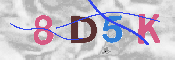 Immagine CAPTCHA
