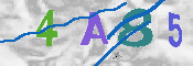Immagine CAPTCHA