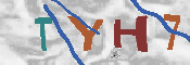 Immagine CAPTCHA