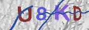 Immagine CAPTCHA