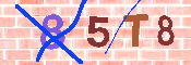 Immagine CAPTCHA