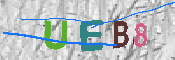 Immagine CAPTCHA