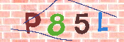 Immagine CAPTCHA