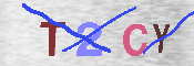 Immagine CAPTCHA