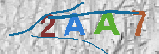 Immagine CAPTCHA