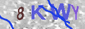 Immagine CAPTCHA