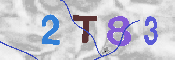 Immagine CAPTCHA