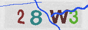 Immagine CAPTCHA