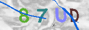 Immagine CAPTCHA