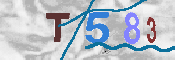 Immagine CAPTCHA