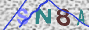 Immagine CAPTCHA