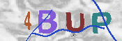 Immagine CAPTCHA