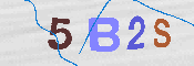Immagine CAPTCHA