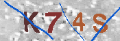 Immagine CAPTCHA