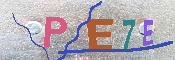 Immagine CAPTCHA