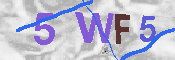 Immagine CAPTCHA