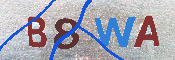 Immagine CAPTCHA