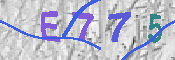 Immagine CAPTCHA