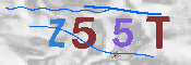 Immagine CAPTCHA