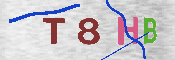 Immagine CAPTCHA