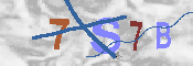Immagine CAPTCHA