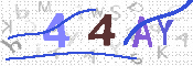Immagine CAPTCHA
