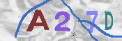 Immagine CAPTCHA