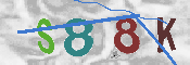 Immagine CAPTCHA
