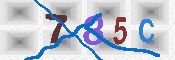 Immagine CAPTCHA