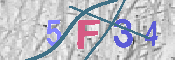 Immagine CAPTCHA