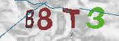 Immagine CAPTCHA