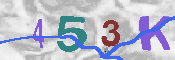 Immagine CAPTCHA