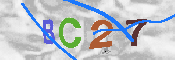 Immagine CAPTCHA