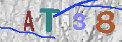 Immagine CAPTCHA