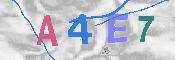 Immagine CAPTCHA