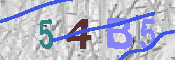 Immagine CAPTCHA