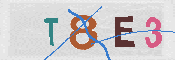 Immagine CAPTCHA