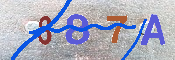 Immagine CAPTCHA