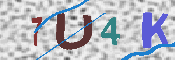 Immagine CAPTCHA