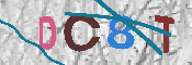 Immagine CAPTCHA