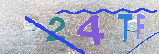 Immagine CAPTCHA