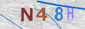Immagine CAPTCHA
