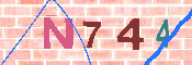 Immagine CAPTCHA