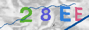 Immagine CAPTCHA